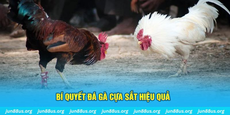 xoso9988 xổ số miền bắc thứ ba hàng tuần