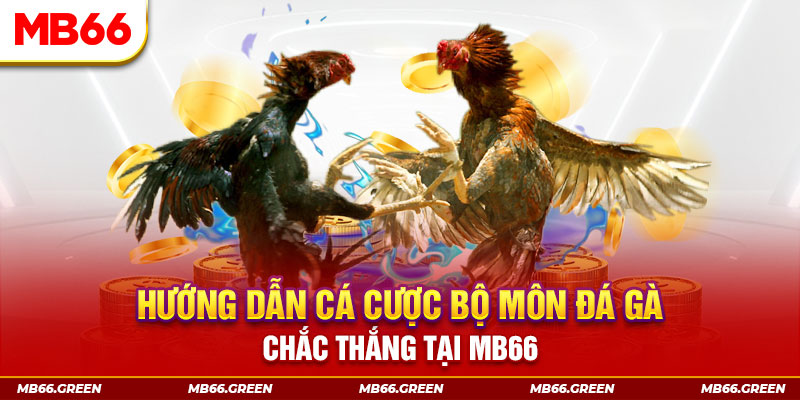 xoso9988 xổ số miền nam hôm nay