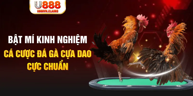 xoso9988 casino hồ tràm có cho người việt vào không