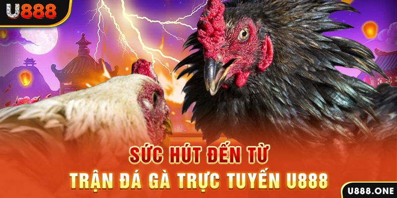 xoso9988 đăng nhập poker 2024