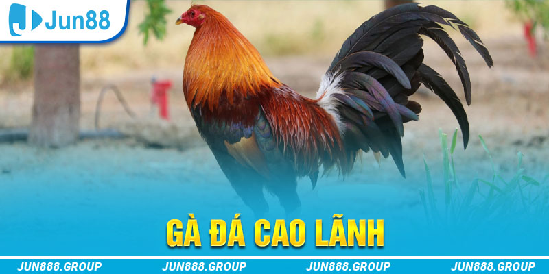 xoso9988 tai game vua bai ve may tinh