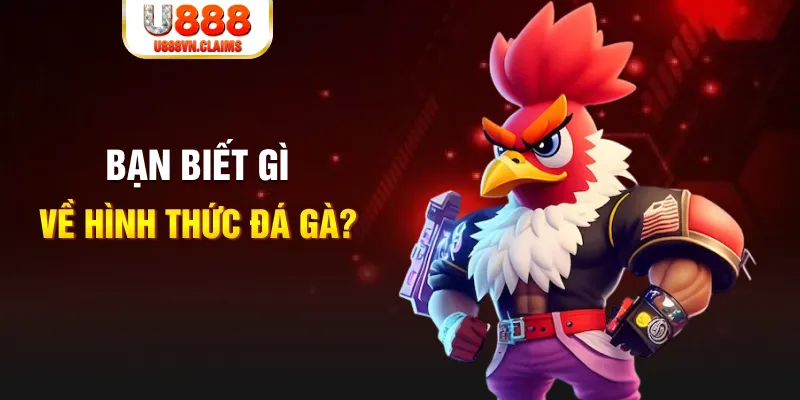 xoso9988 đăng nhập liêng tặng tiền