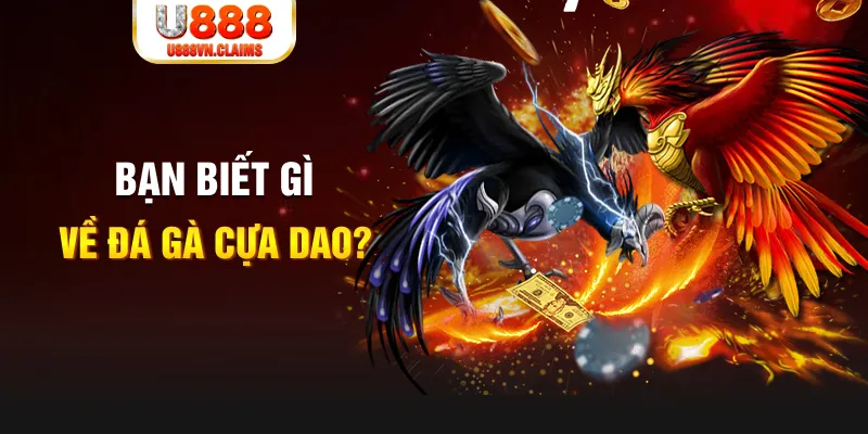 xoso9988 xo so mien bac