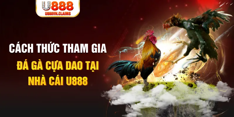 xoso9988 đá gà 88.com