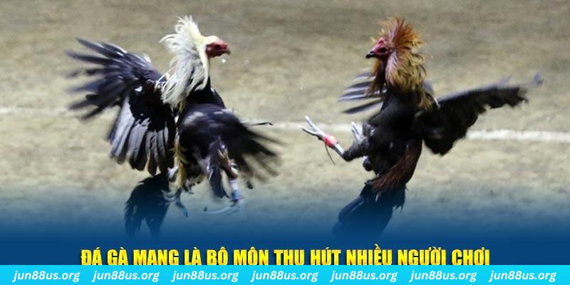 xoso9988 đăng nhập sòng bạc số 1