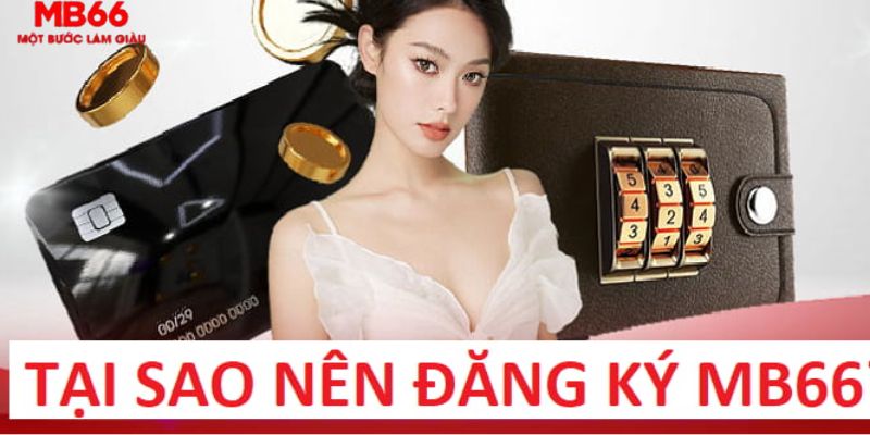 xoso9988 trực tiếp gà chọi c1