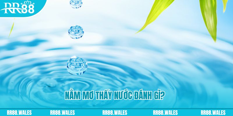 xoso9988 xổ số trực tiếp miền bắc
