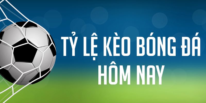 xoso9988 đăng nhập phỏm