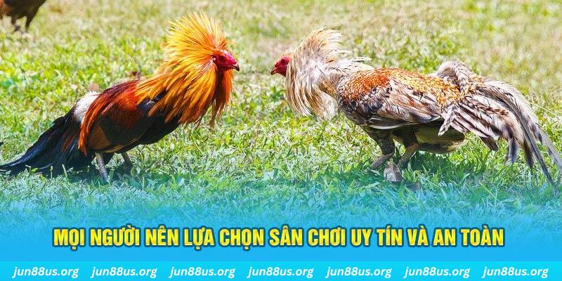xoso9988 đăng nhập poker 2025