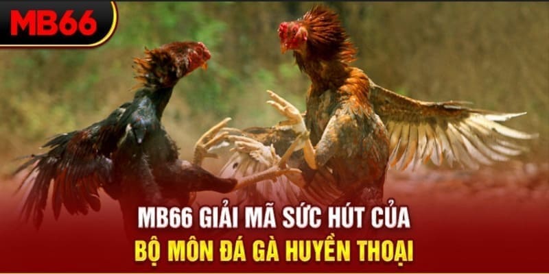 xoso9988 xổ số đài bắc
