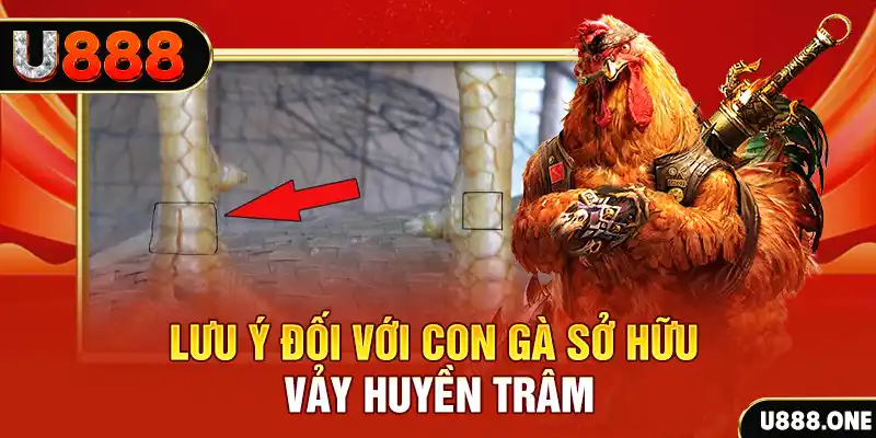 xoso9988 tải game đánh bài tiến lên miền nam về máy tính