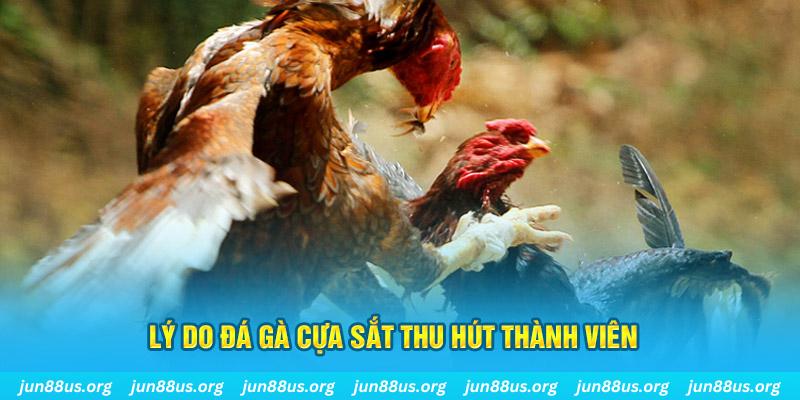 xoso9988 nổ hũ ăn bao nhiêu