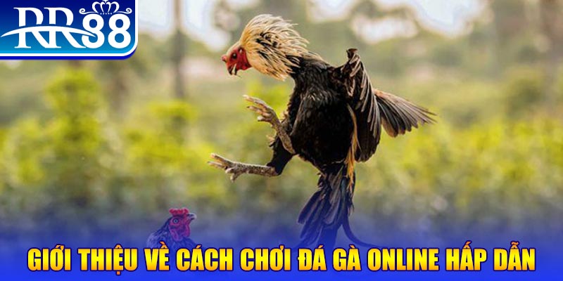 xoso9988 EvoPlay Điện Tử
