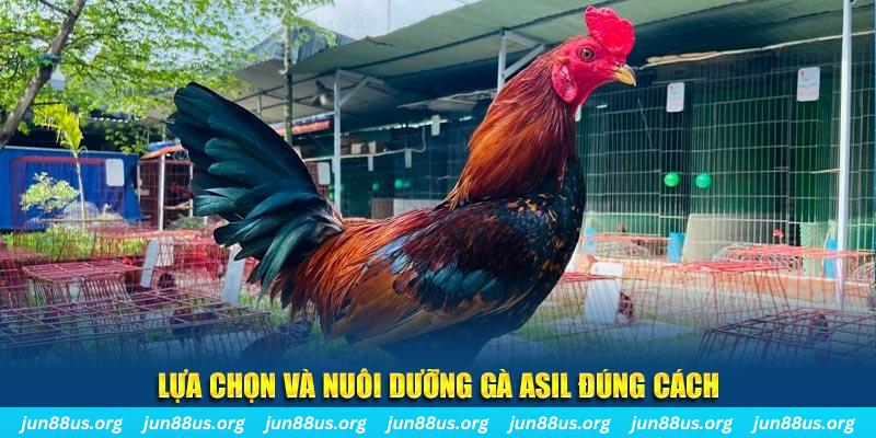 xoso9988 nổ hũ thần tài là gì