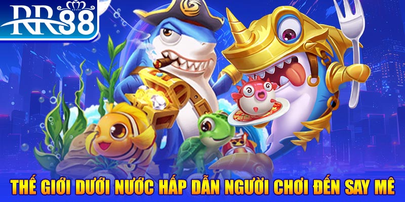 xoso9988 đăng nhập mậu binh dễ thắng