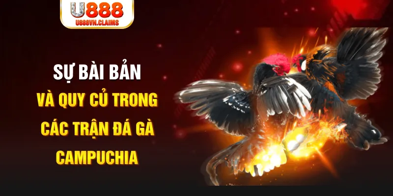 xoso9988 game xếp bài trên máy tính