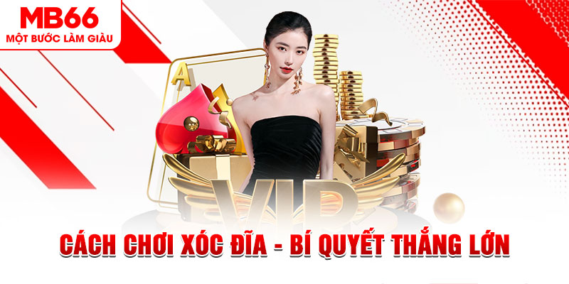xoso9988 Đĩa màu ace