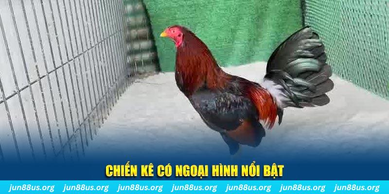 xoso9988 qq88 bắn cá
