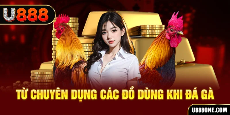 xoso9988 đăng nhập poker trực tiếp