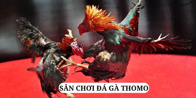 xoso9988 quay nổ hũ là gì
